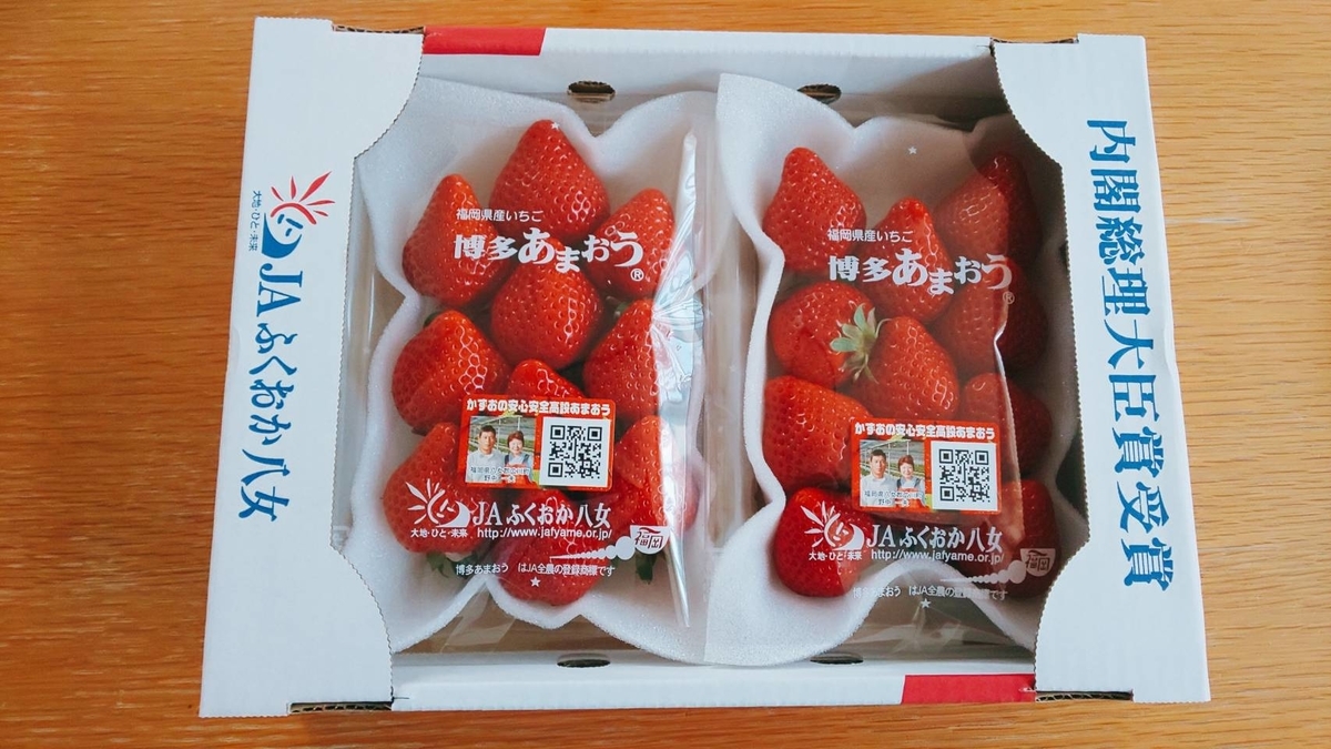 f:id:chocotocoffee25:20210205142619j:plain