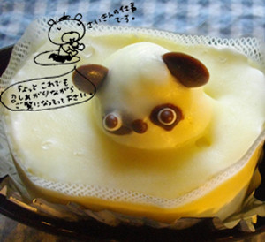 f:id:chocotori-chiro:20110713140434j:image f:id:chocotori-chiro:20110713140434j:image
