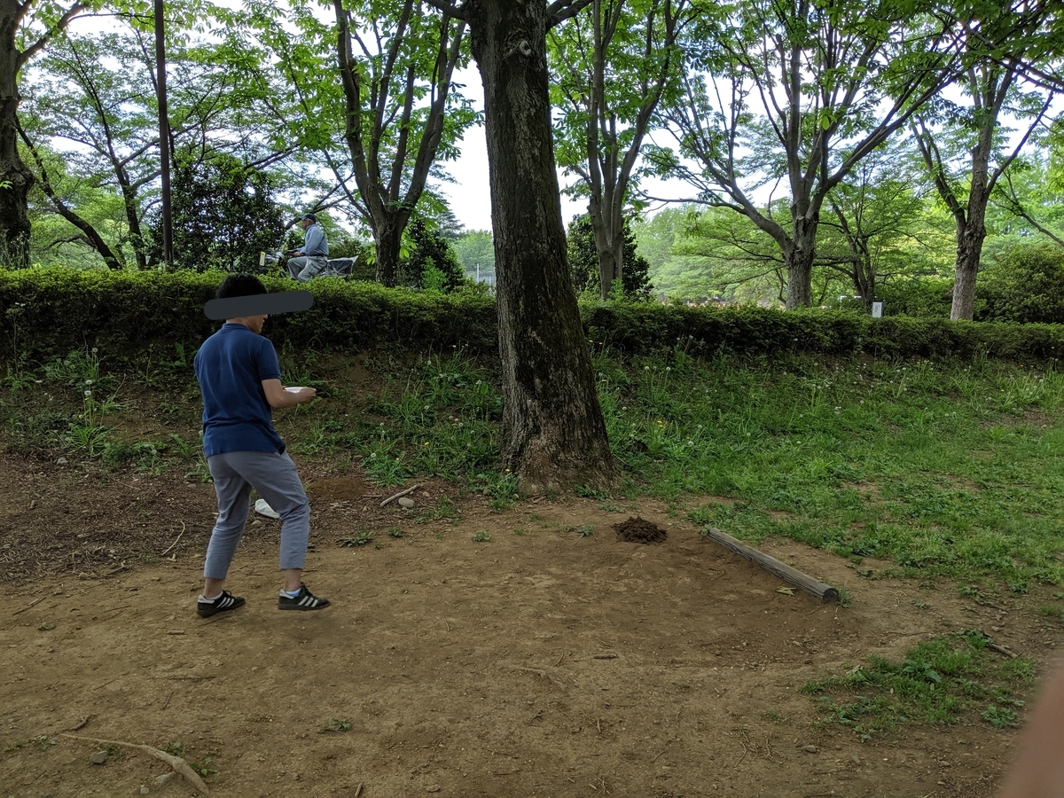 f:id:chocoxina:20190604234739j:plain
