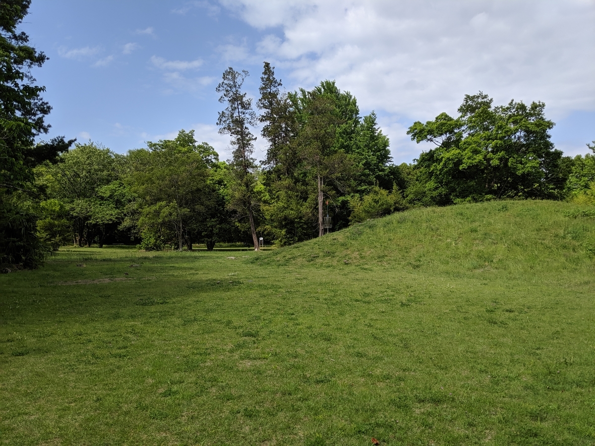 f:id:chocoxina:20190604234833j:plain