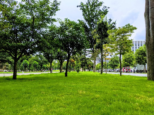 f:id:chocoxina:20190827135426j:plain