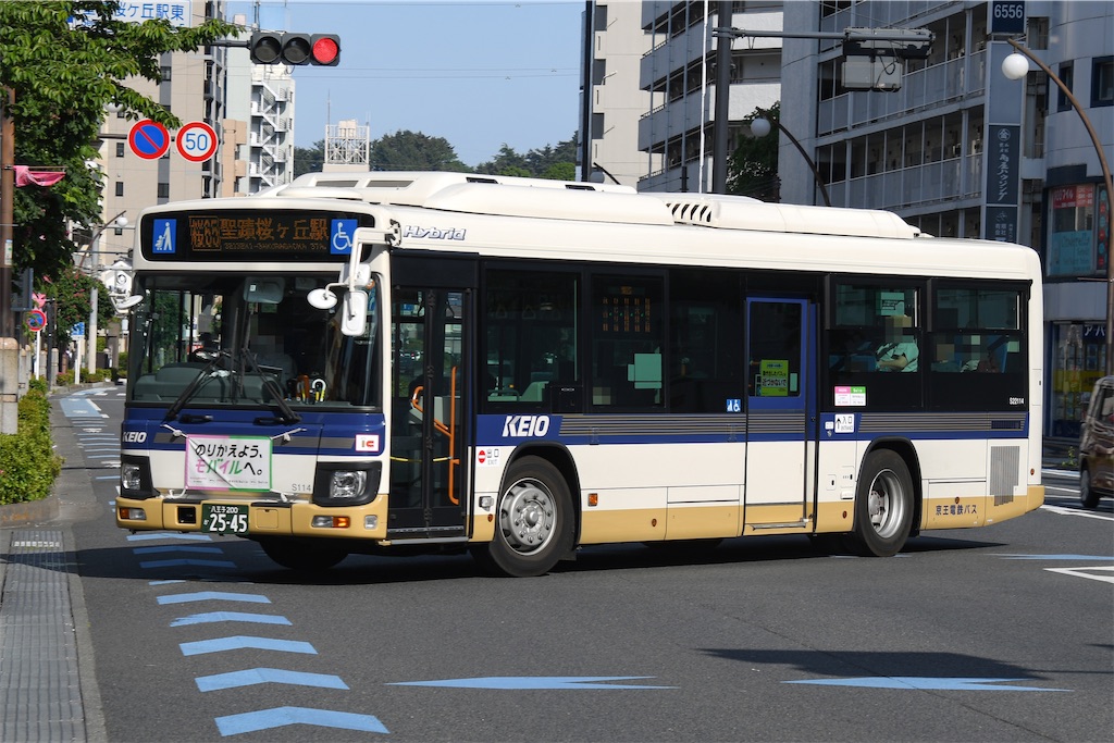 ハスの種　1000粒　Azuma ハスの種 1000粒 Azuma ハスの種 1000粒 Azuma ハスの種 1000粒