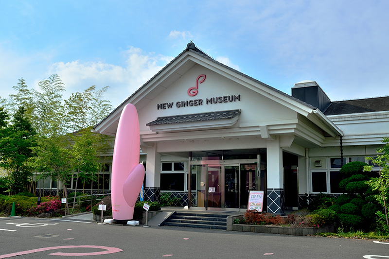 f:id:chogetsu:20190624070421j:plain f:id:chogetsu:20190624070421j:plain