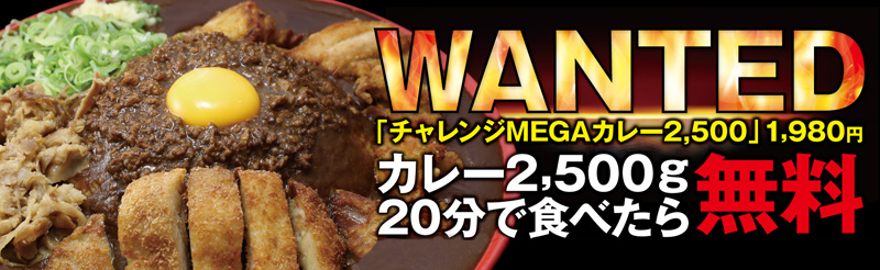 f:id:chogetsu:20191115172450j:plain