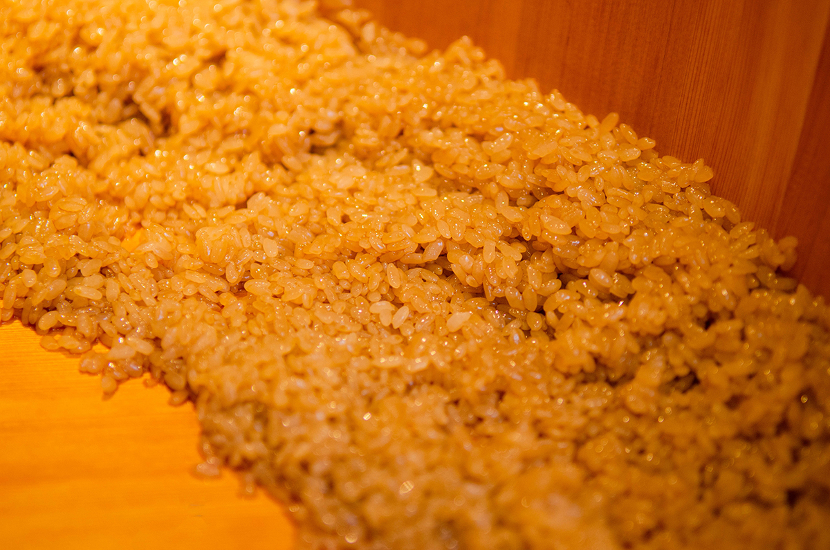 f:id:chogetsu:20191120173551j:plain f:id:chogetsu:20191120173551j:plain