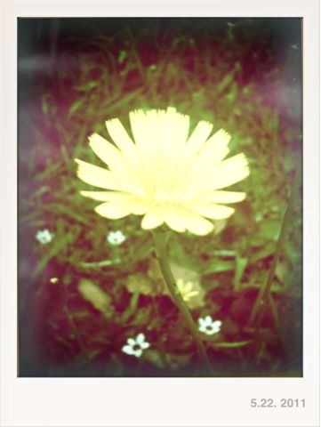 f:id:choiyaki:20110523055315j:image