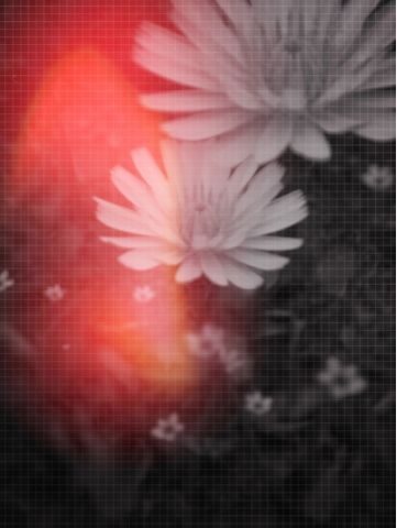 f:id:choiyaki:20110523055331j:image
