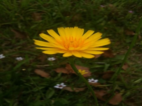 f:id:choiyaki:20110523061004j:image