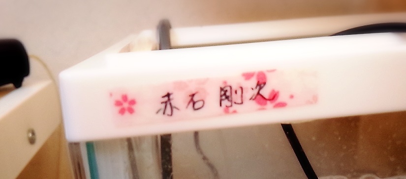 f:id:chokichoki2:20170210152819j:plain