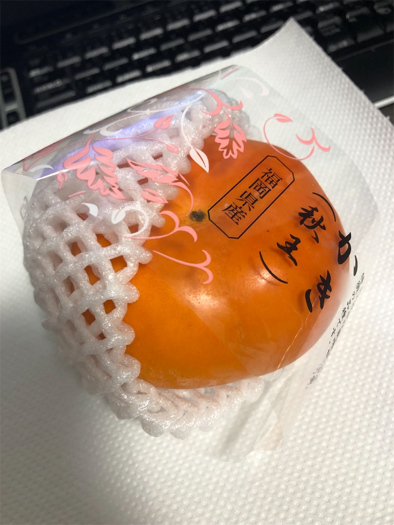 f:id:chokin120:20221108225344j:image