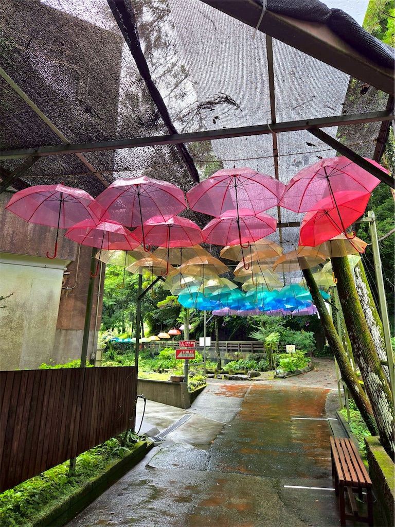 f:id:chokin120:20260618212511j:image