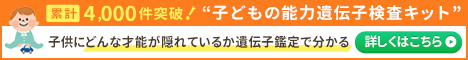 f:id:chokko_san:20200205102507j:plain