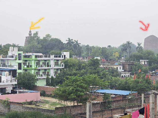 f:id:choko-samosa:20250509124205j:image f:id:choko-samosa:20250509124205j:image