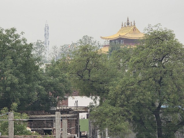 f:id:choko-samosa:20250509124228j:image f:id:choko-samosa:20250509124228j:image