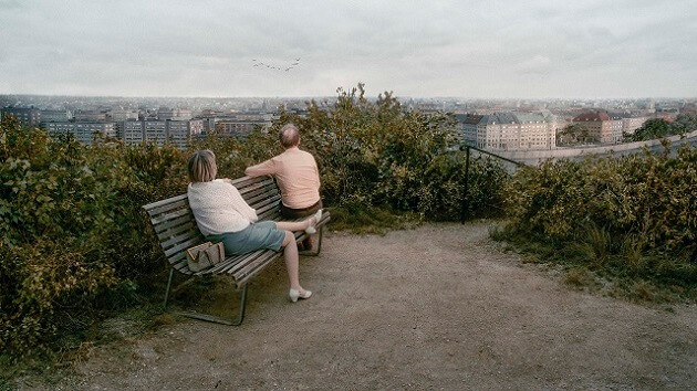 f:id:chokobostallions:20201122062023j:plain