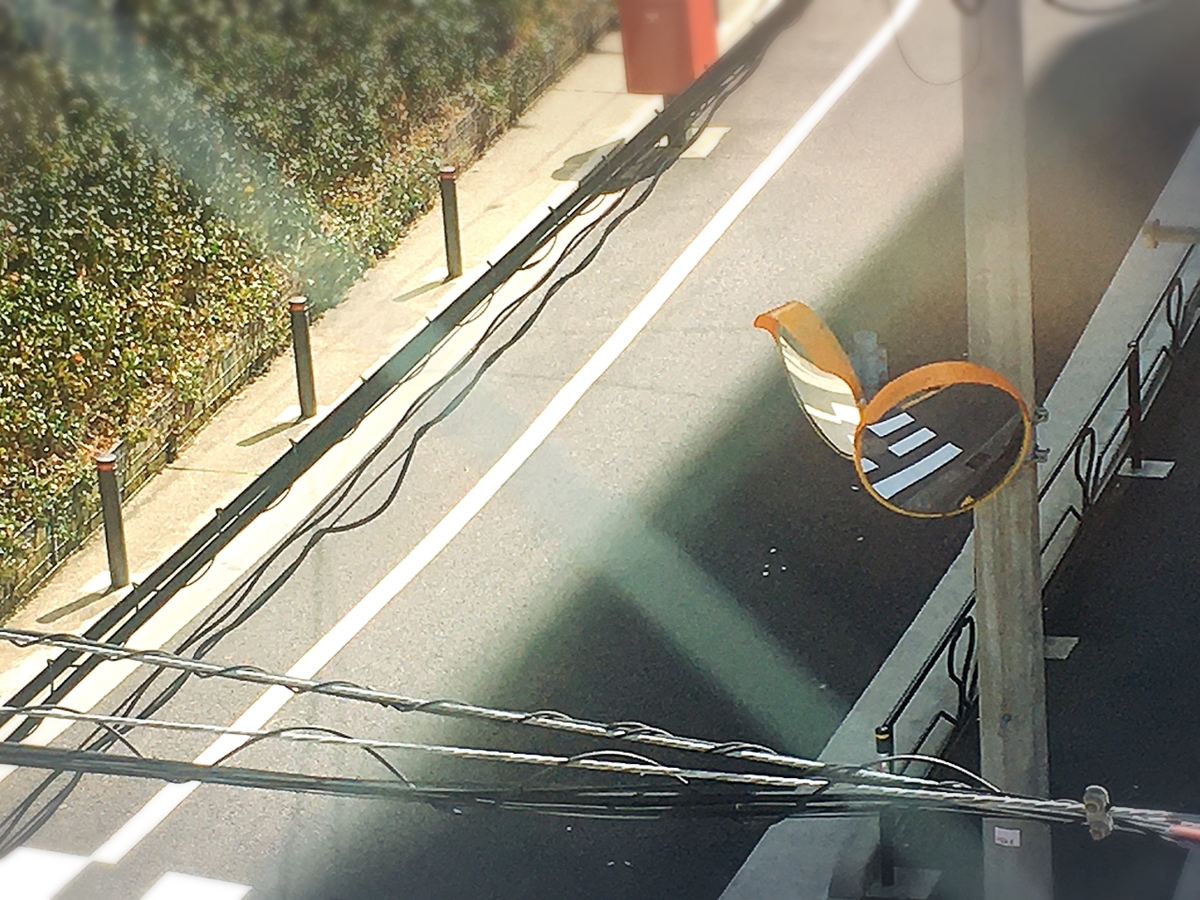 f:id:chokobostallions:20210314213712j:plain