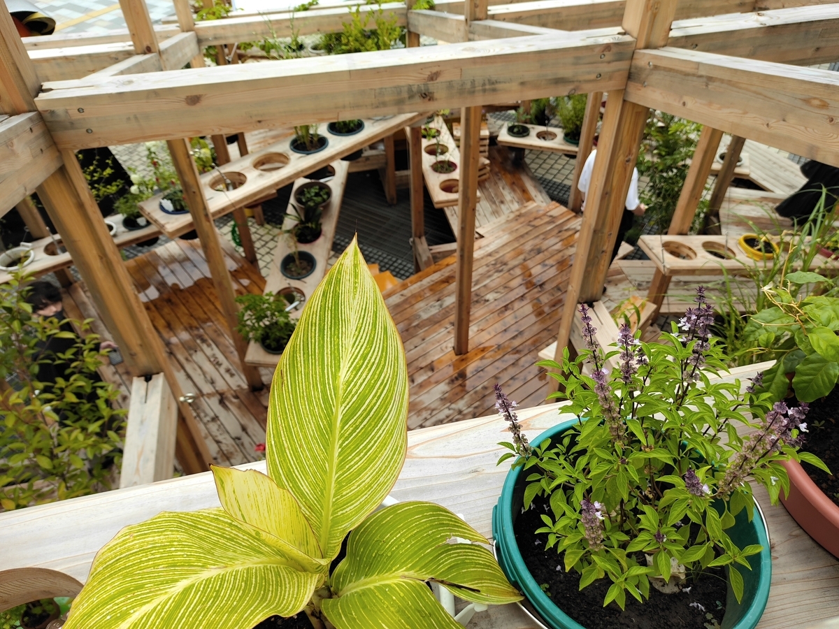 f:id:chokobostallions:20210901062901j:plain