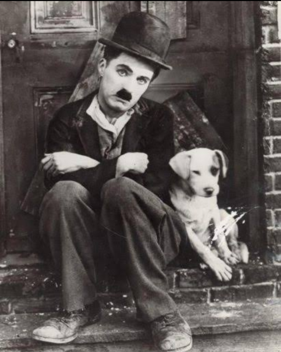 f:id:chokobostallions:20210906192219p:plain