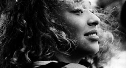 f:id:chokobostallions:20211114201955j:plain