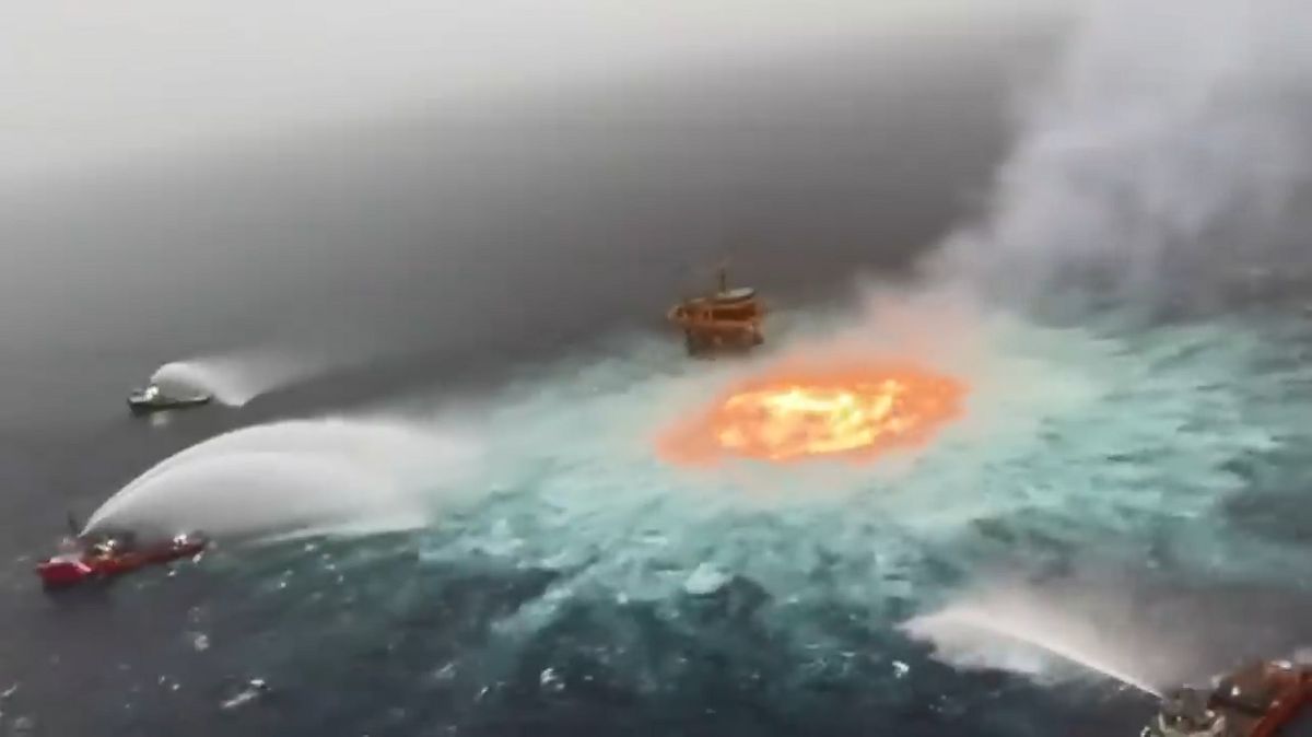 f:id:chokobostallions:20220114214416j:plain