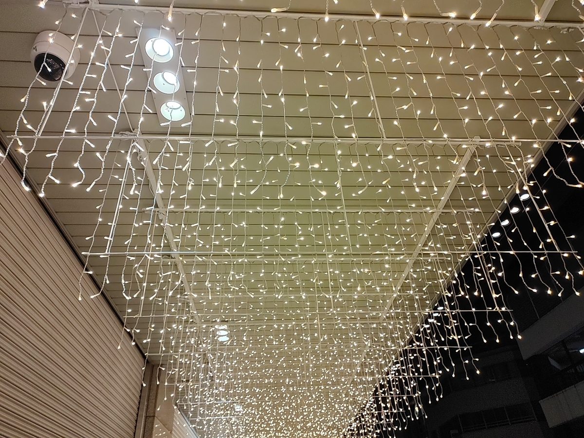 f:id:chokobostallions:20220210070603j:plain