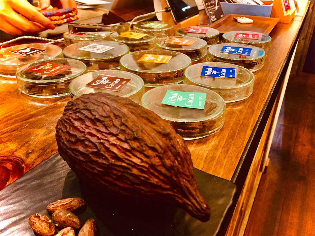 f:id:chokochihiro:20191208003024j:image