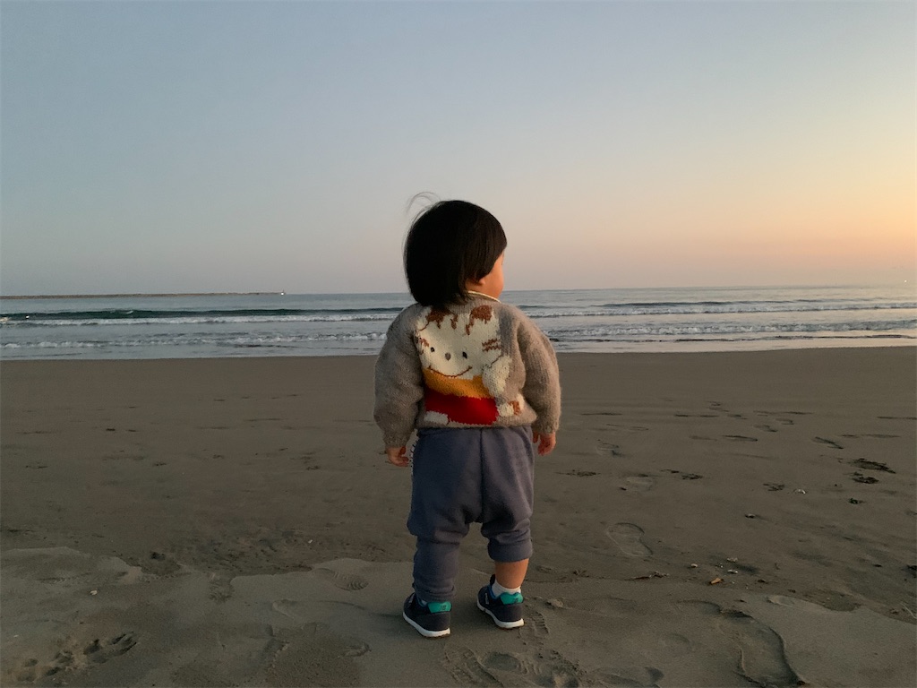 f:id:chokohei1120:20201127204523j:image