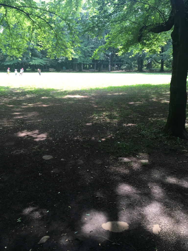 f:id:chokonatsu:20180602104722j:plain f:id:chokonatsu:20180602104722j:plain