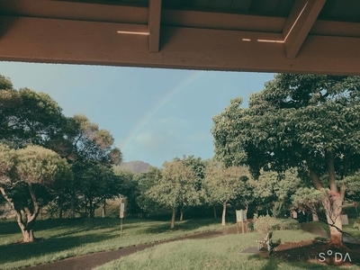 f:id:chokotimtam:20200609112641j:plain