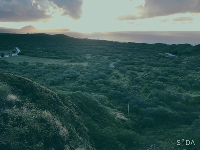 f:id:chokotimtam:20200609113550j:plain