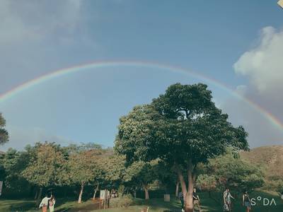 f:id:chokotimtam:20200609114304j:plain