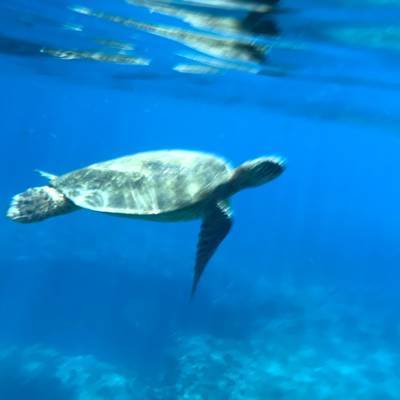 f:id:chokotimtam:20200609144536j:plain