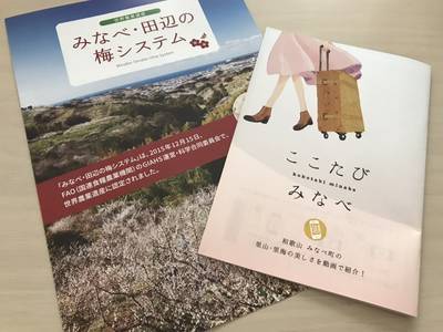 f:id:chokotimtam:20200616155128j:plain