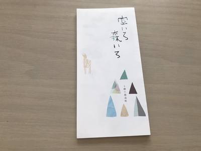 f:id:chokotimtam:20200616165106j:plain