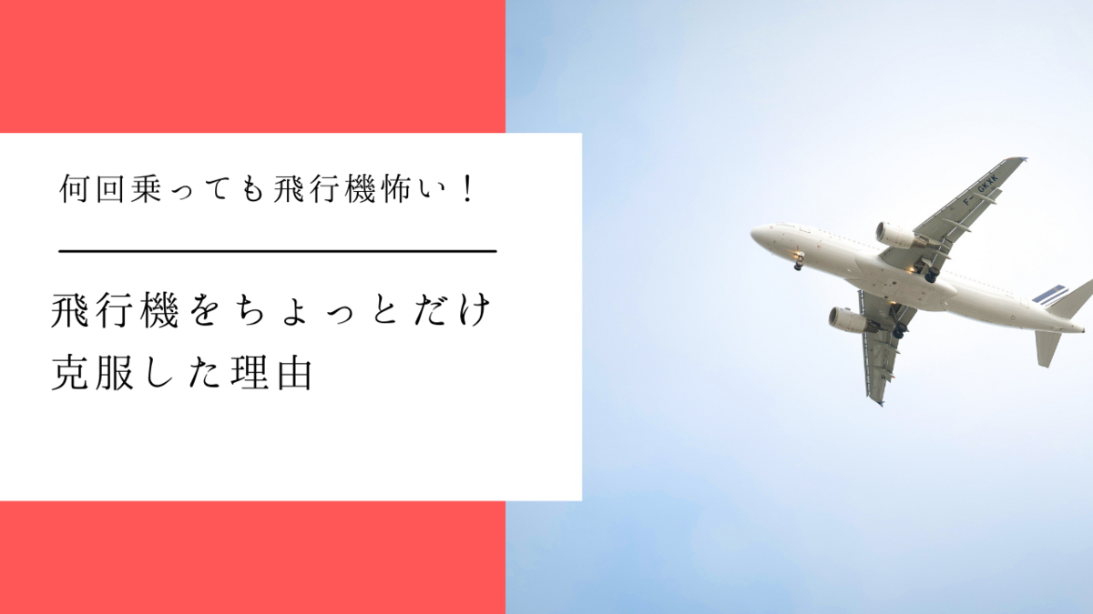 飛行機　怖い