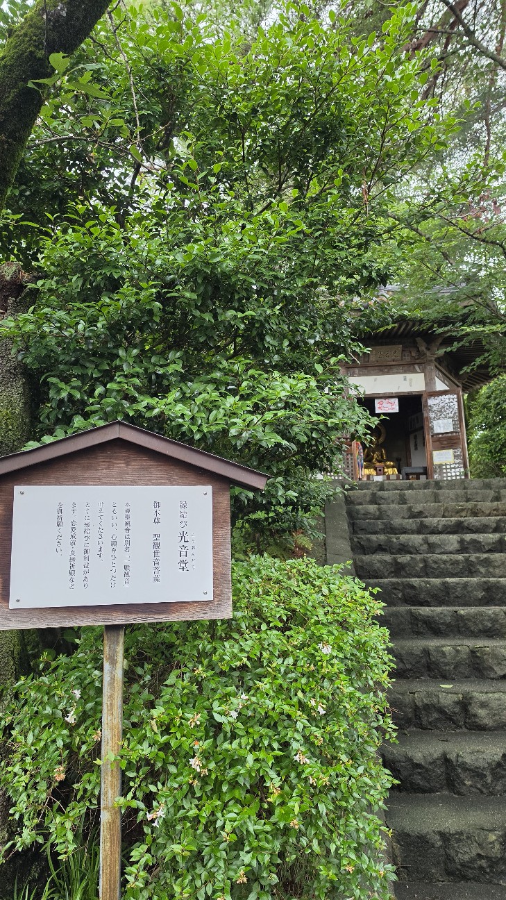 f:id:cholari:20260630100721j:image