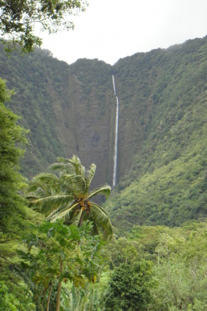 f:id:chomako:20110814062148j:image