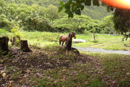 f:id:chomako:20110814070418j:image