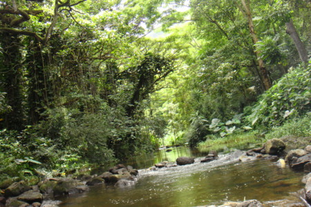 f:id:chomako:20110814071629j:image