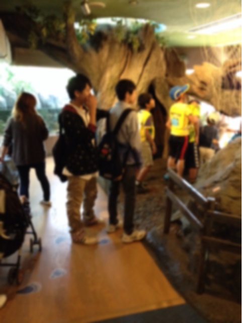 f:id:chomepokari:20140929021202j:plain f:id:chomepokari:20140929021202j:plain