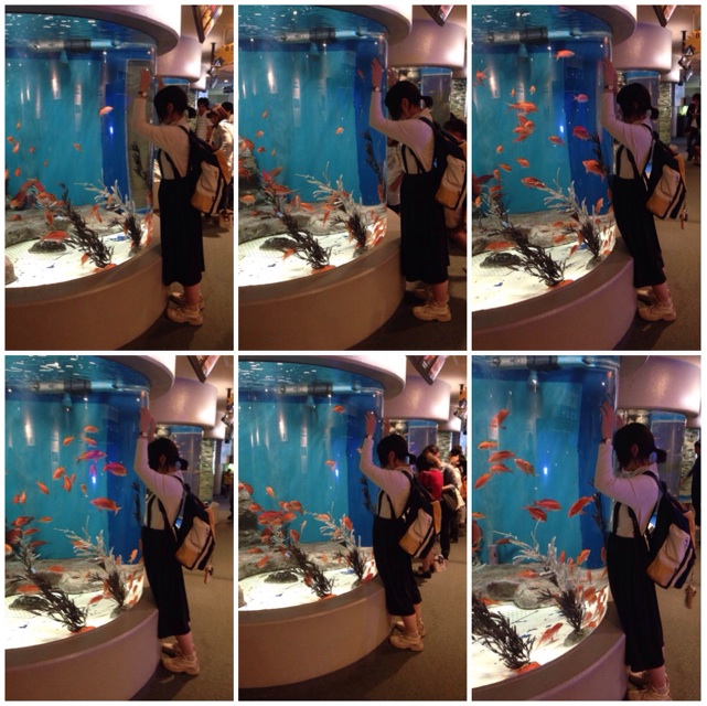 f:id:chomepokari:20140929022420j:plain f:id:chomepokari:20140929022420j:plain