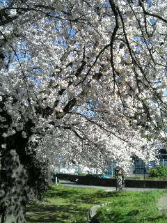 20070414151150