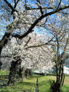 20070414151226