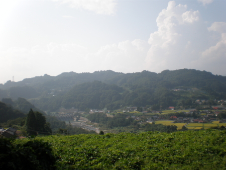 20080906150206