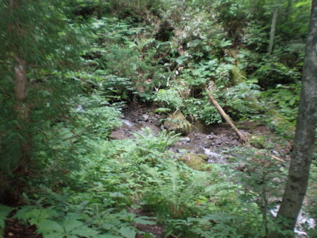 20090712091757