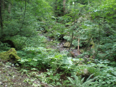 20090712091814