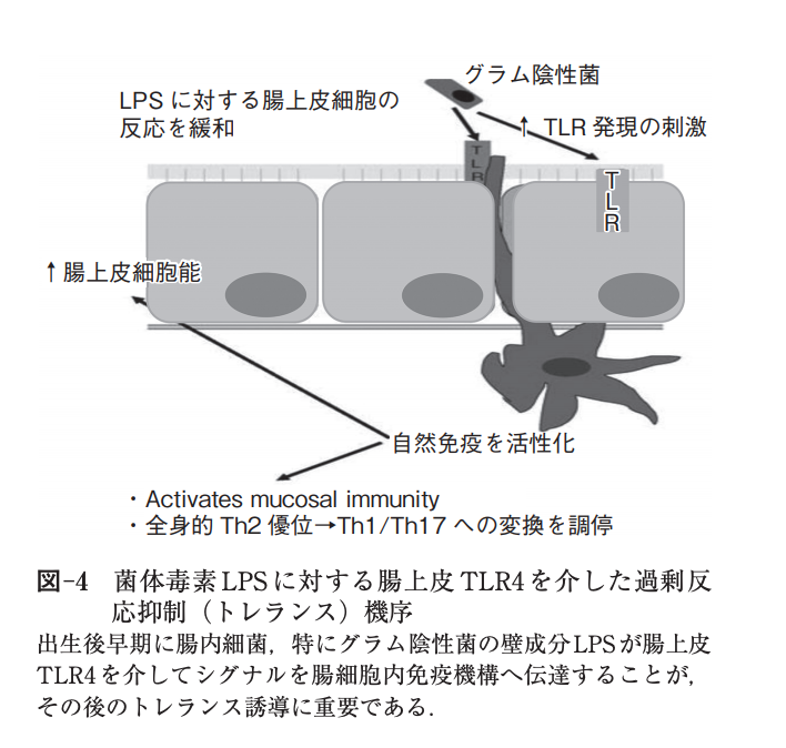 f:id:chonaisaikincontrol:20190419205029p:plain