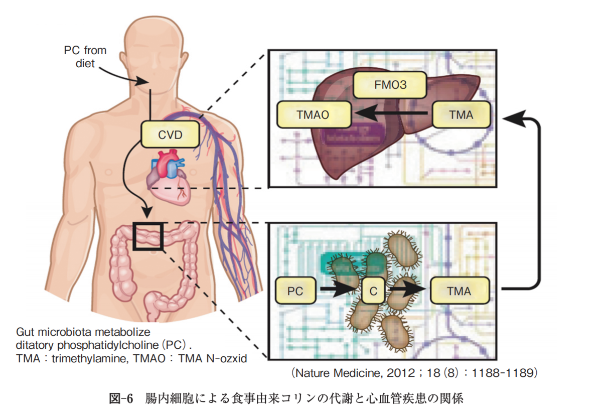 f:id:chonaisaikincontrol:20190419205056p:plain