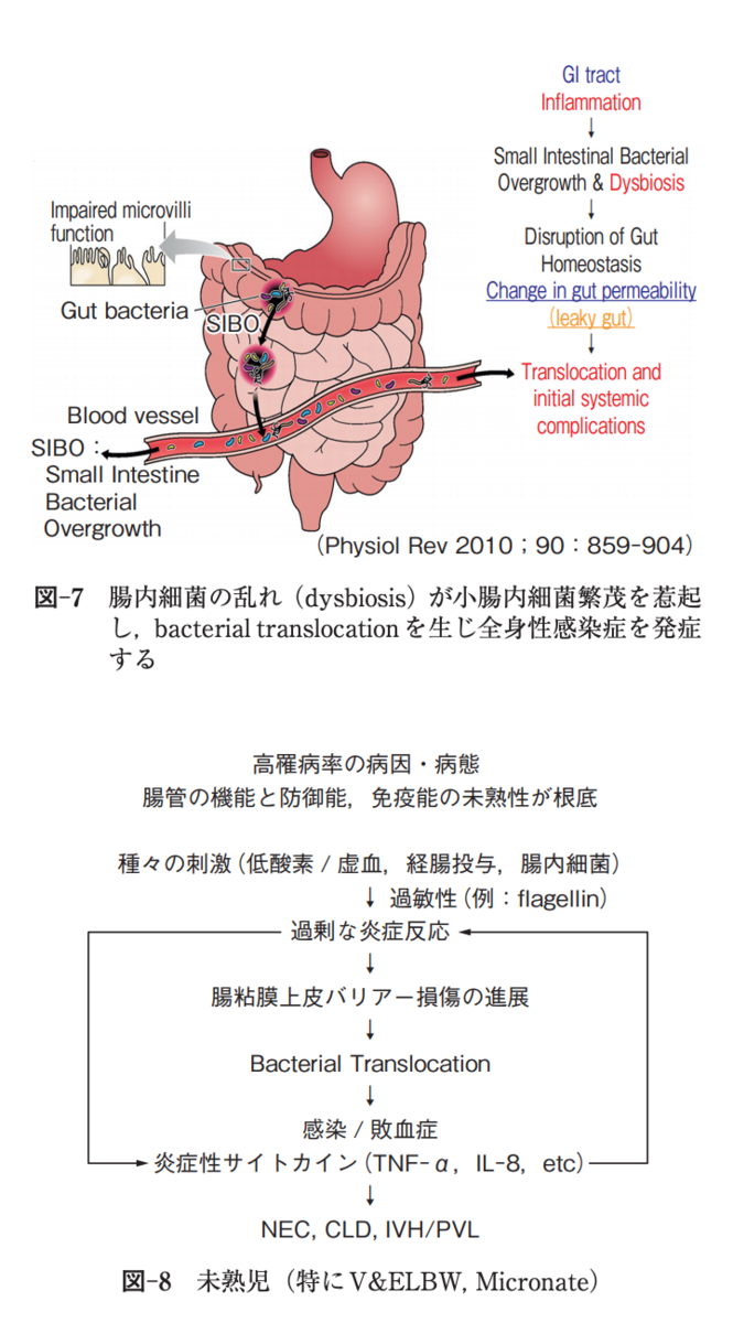f:id:chonaisaikincontrol:20190419205111p:plain