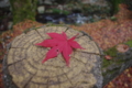 20121124101726